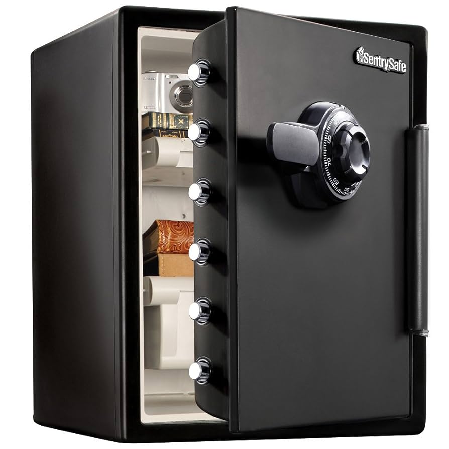SentrySafe Black Fireproof and Waterproof Safe for Home and Office