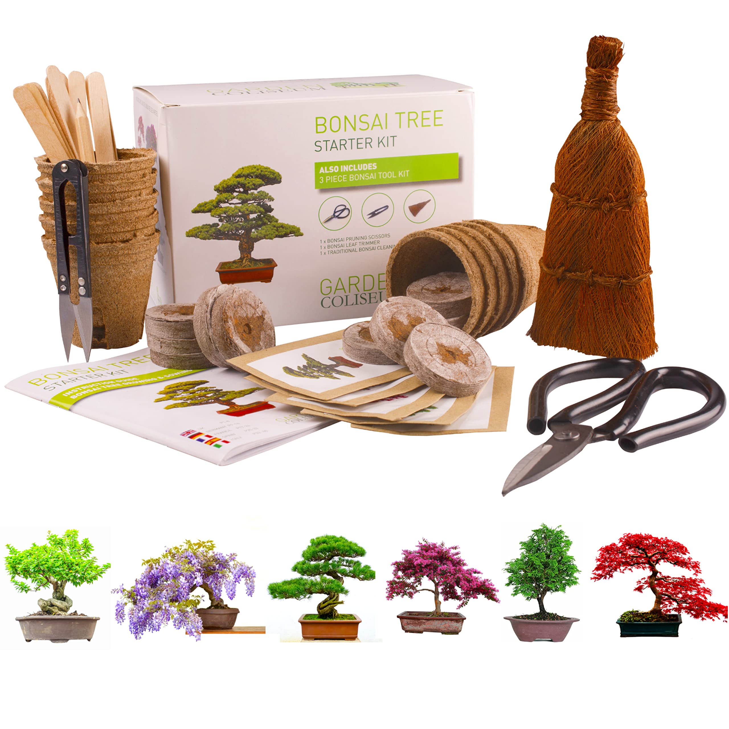 Bonsai Tree Kit for Beginners opened on a wooden table, showing all included components for growing your own trees.